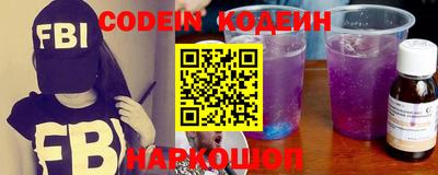индика Кингисепп