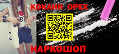 индика Кингисепп