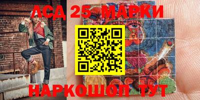 индика Кингисепп