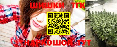 индика Кингисепп