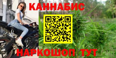 индика Кингисепп