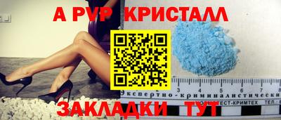 индика Кингисепп