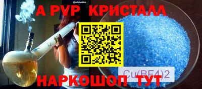 индика Кингисепп