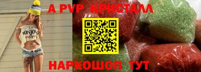 индика Кингисепп