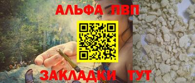 индика Кингисепп