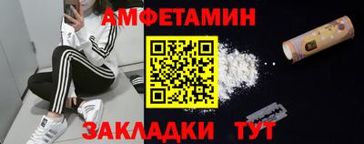 индика Кингисепп