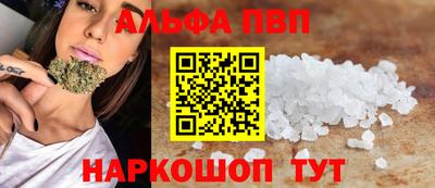 индика Кингисепп