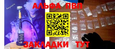 индика Кингисепп