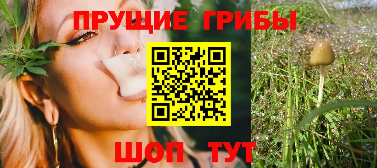 Кемерово  магазин продажи наркотиков  Вход с VPN  Псилоцибиновые грибы Magic Shrooms  Псилоцибиновые грибы MAGIC MUSHROOMS 